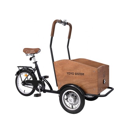 BK047 Hot selling reverse three wheel bike can take pets take children take express parent child bike